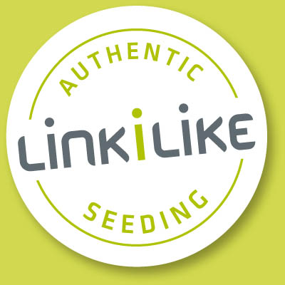 LINKLILIKE Test – Geld mit Facebook verdienen